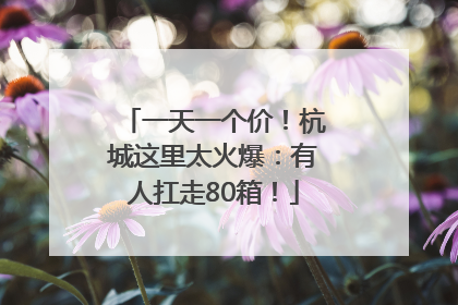 一天一个价！杭城这里太火爆：有人扛走80箱！
