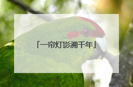 一帘灯影溯千年