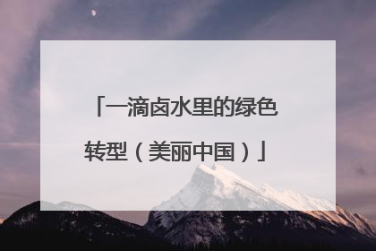 一滴卤水里的绿色转型（美丽中国）