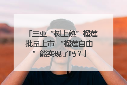 三亚“树上熟”榴莲批量上市 “榴莲自由”能实现了吗？