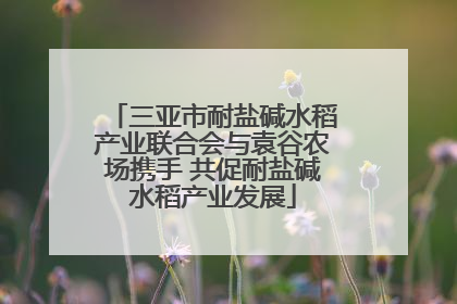 三亚市耐盐碱水稻产业联合会与袁谷农场携手 共促耐盐碱水稻产业发展