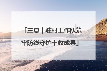 三夏｜驻村工作队筑牢防线守护丰收成果