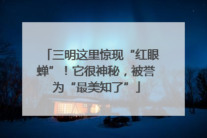 三明这里惊现“红眼蝉”！它很神秘，被誉为“最美知了”