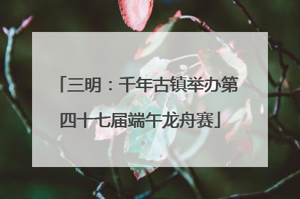 三明：千年古镇举办第四十七届端午龙舟赛
