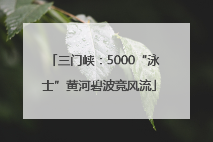 三门峡：5000“泳士”黄河碧波竞风流