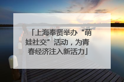 上海奉贤举办“萌娃社交”活动，为青春经济注入新活力