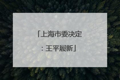 上海市委决定：王平履新