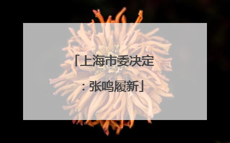 上海市委决定：张鸣履新