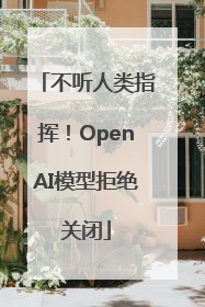 不听人类指挥！OpenAI模型拒绝关闭