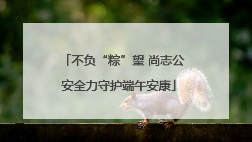 不负“粽”望 尚志公安全力守护端午安康