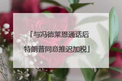 与冯德莱恩通话后 特朗普同意推迟加税