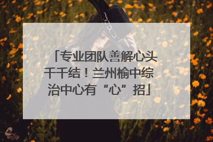 专业团队善解心头千千结！兰州榆中综治中心有“心”招