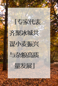 专家代表齐聚冰城共谋小麦振兴与杂粮高质量发展