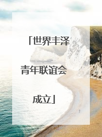 世界丰泽青年联谊会成立
