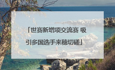 世赛新增项交流赛 吸引多国选手来穗切磋