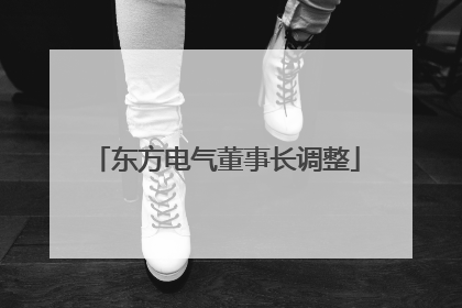 东方电气董事长调整
