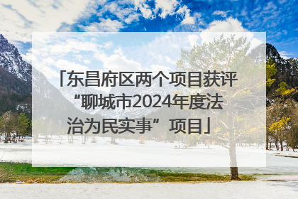 东昌府区两个项目获评“聊城市2024年度法治为民实事”项目