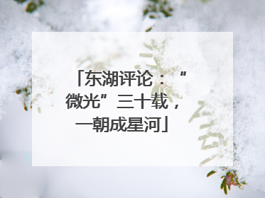 东湖评论：“微光”三十载，一朝成星河