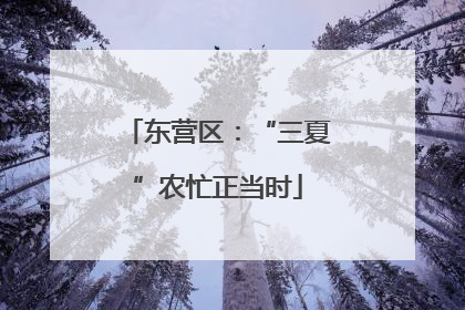 东营区：“三夏”农忙正当时