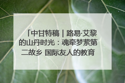 中甘特稿｜路易·艾黎的山丹时光：魂牵梦萦第二故乡 国际友人的教育传奇与文化探寻