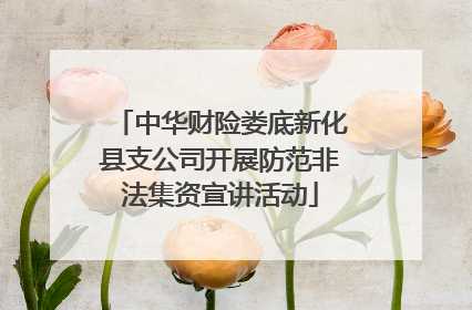中华财险娄底新化县支公司开展防范非法集资宣讲活动