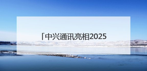 中兴通讯亮相2025全球人工智能终端展，展示AI全场景生态布局