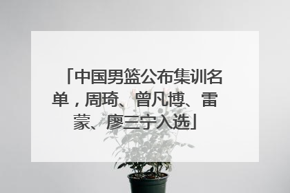 中国男篮公布集训名单，周琦、曾凡博、雷蒙、廖三宁入选