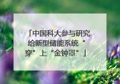 中国科大参与研究 给新型储能系统“穿”上“金钟罩”