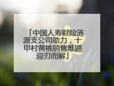 中国人寿财险涟源支公司助力，十甲村黄桃销售难题迎刃而解