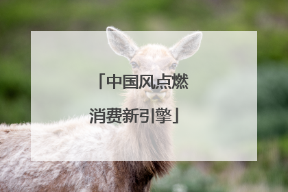 中国风点燃消费新引擎