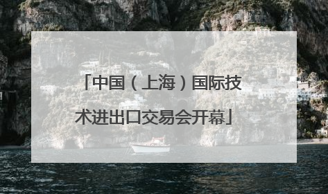 中国（上海）国际技术进出口交易会开幕