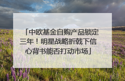中欧基金自购产品锁定三年！明星战略折戟下信心背书能否打动市场