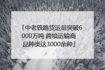 中老铁路货运量突破6000万吨 跨境运输商品种类达3000余种