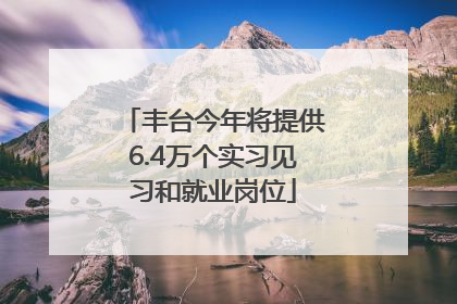 丰台今年将提供6.4万个实习见习和就业岗位