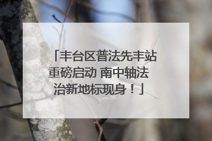 丰台区普法先丰站重磅启动 南中轴法治新地标现身！