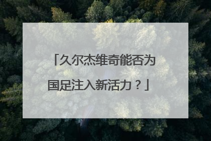 久尔杰维奇能否为国足注入新活力？