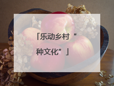 乐动乡村“种文化”