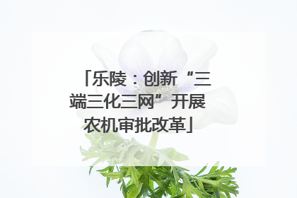 乐陵：创新“三端三化三网”开展农机审批改革