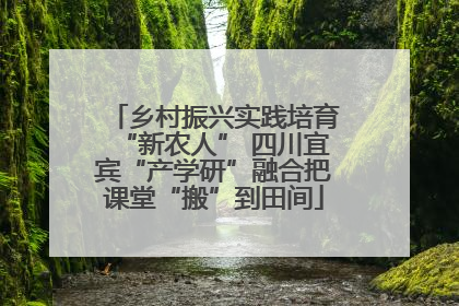 乡村振兴实践培育“新农人” 四川宜宾“产学研”融合把课堂“搬”到田间