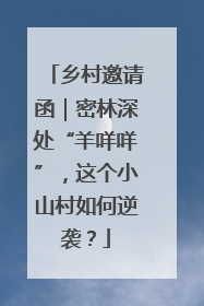 乡村邀请函｜密林深处“羊咩咩”，这个小山村如何逆袭？