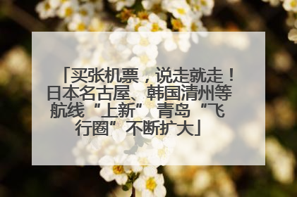 买张机票，说走就走！日本名古屋、韩国清州等航线“上新” 青岛“飞行圈”不断扩大