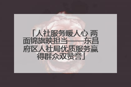 人社服务暖人心 两面锦旗映担当——东昌府区人社局优质服务赢得群众双赞誉