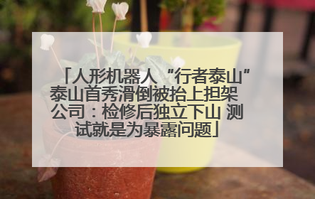 人形机器人“行者泰山”泰山首秀滑倒被抬上担架 公司：检修后独立下山 测试就是为暴露问题