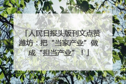 人民日报头版刊文点赞潍坊：把“当家产业”做成“担当产业”！