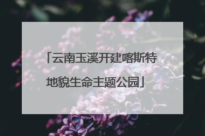 云南玉溪开建喀斯特地貌生命主题公园
