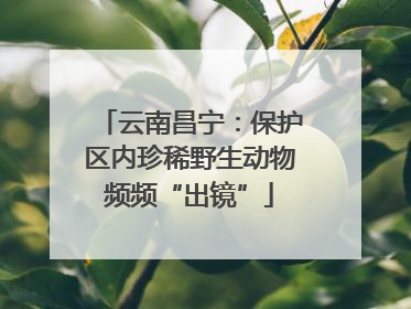 云南昌宁：保护区内珍稀野生动物频频“出镜”