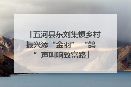 五河县东刘集镇乡村振兴添“金羽” “鸽”声叫响致富路