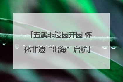 五溪非遗园开园 怀化非遗“出海”启航