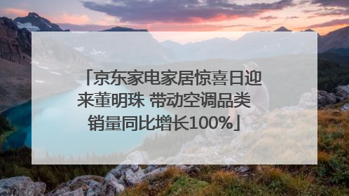 京东家电家居惊喜日迎来董明珠 带动空调品类销量同比增长100%