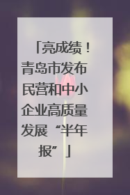 亮成绩！青岛市发布民营和中小企业高质量发展“半年报”